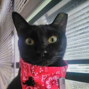 Meet your Posher, Carla